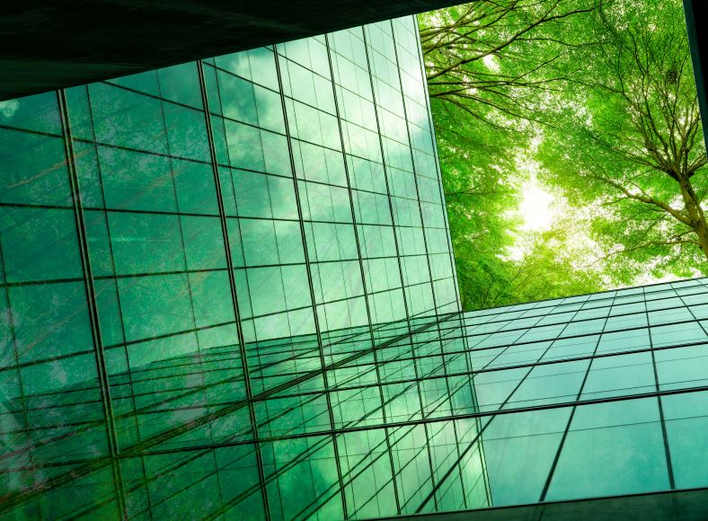 Office windows with tree