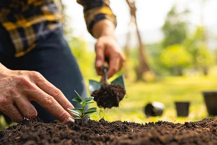 Planting Seeds