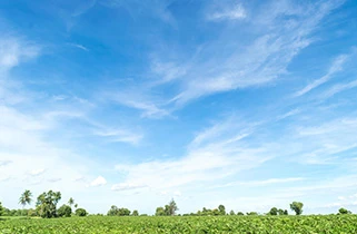 Green fields and blue sky