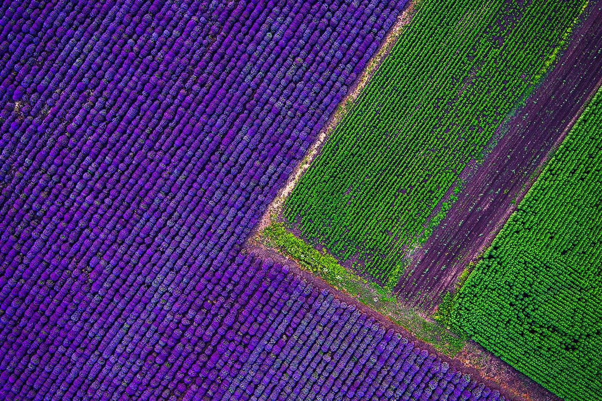 Regenerative farming from above